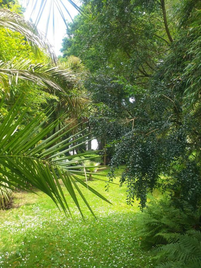 Un Jardin En Pente Douce Villa Locquenole Exterior photo