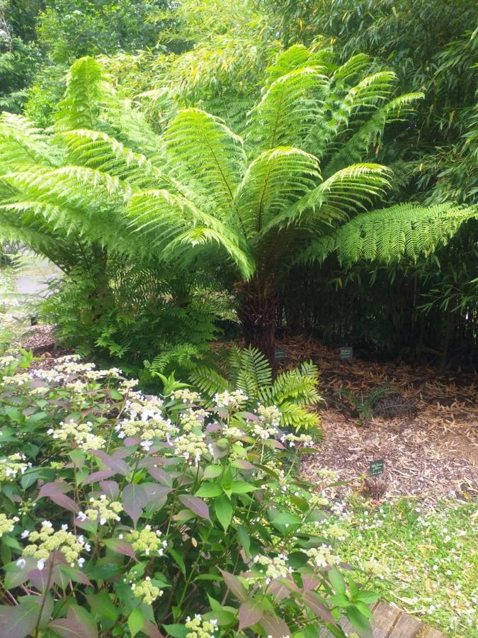 Un Jardin En Pente Douce Villa Locquenole Exterior photo
