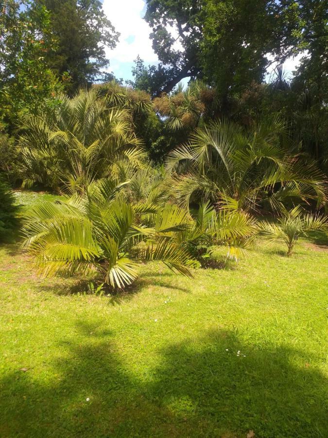 Un Jardin En Pente Douce Villa Locquenole Exterior photo