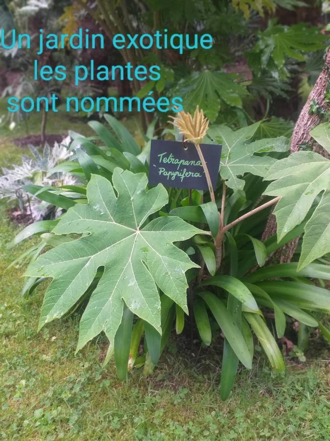 Un Jardin En Pente Douce Villa Locquenole Exterior photo