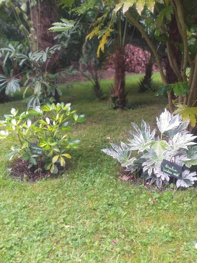 Un Jardin En Pente Douce Villa Locquenole Exterior photo